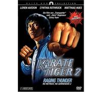 Karate Tiger 2 [Import allemand]
