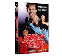 Karate Tiger 6 [DVD] [1992]