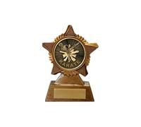 Karate Trophy Award Premier Star Antique Gold 120mm Heavy Resin Martial Arts Free Engraving -troshow1-A