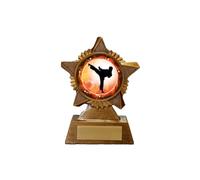 Karate Trophy Award Premier Star Antique Gold 120mm Heavy Resin Martial Arts Free Engraving -troshow1-gd