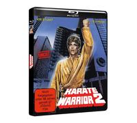 KARATE WARRIOR 2 - HD-Premiere (Blu-ray) Kim Rossi Stuart Ted Prior