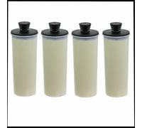 KARCHER SC3 SERIES STEAM CLEANER ANTI LIMESCALE DESCALING CARTRIDGE FILTER esd