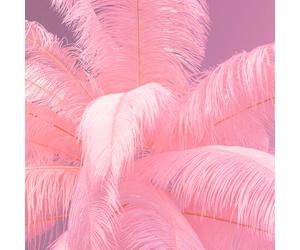 KARE Feather Palm floor lamp with feathers magenta
