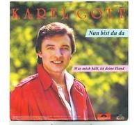 Karel Gott - Nun bist du da (1983) / Vinyl single [Vinyl-Single 7'']