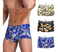 KAREN SPACE Men’s Thong Sexy Underwear Ice Silk Thong Athletic Supporter for Man