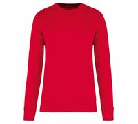 Kariban Childrens/Kids Eco Friendly Crew Neck Sweatshirt / N/A N/A PC6508