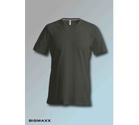 Kariban Men Short Sleeve T-Shirt with V-Neck in 19 Colors Size S to 4XL