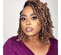 Karida Passion Twist 12 Inch Pre Braided Crochet Strands for Black Women Pre Curled Passion Twist Hair Strands Pre Braided D-strands 8 Pack