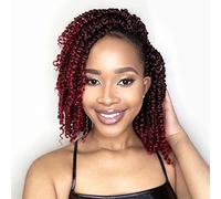 Karida Passion Twist Hair 8 Strands 10 Inch Pre Twisted Crochet Strands Passion Twist for Black Women Curly Crochet Strands Pre Braided Croc Strands Pack of 8