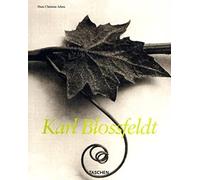 Karl Blossfeldt: 1865 - 1932 (Midsize)