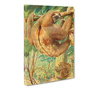 Karl Ludwig Hartig Bolivian Three Toed Sloth Canvas Print | Gallery Wrapped 30mm Frame Wall Art | 30x20 inches | Ready to Hang | Retro Picture | Living Room Bedroom Lounge Office