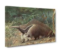 Karl Ludwig Hartig Giant Ant eater Canvas Print | Gallery Wrapped 30mm Frame Wall Art | 20x14 inches | Ready to Hang | Retro Picture | Living Room Bedroom Lounge Office