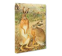 Karl Ludwig Hartig Hare Canvas Print | Gallery Wrapped 30mm Frame Wall Art | 20x14 inches | Ready to Hang | Retro Animals Picture | Living Room Bedroom Lounge Office