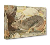 Karl Ludwig Hartig Red Rock Hare Canvas Print | Gallery Wrapped 30mm Frame Wall Art | 24x16 inches | Ready to Hang | Retro Animals Picture | Living Room Bedroom Lounge Office