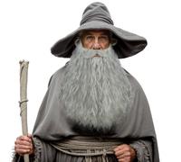 karlery Men Grey Long Curly Wig Fake Beard Wizard big Mustache Beard Wig Halloween Costume Cosplay Party Wig