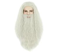 karlery Men Long Curly Grey Wizard Wig and Beard Halloween Cosplay Costume Accessory Wig