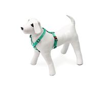 Karlie Art Sportiv Plus Harness Universal Colours Mix and Match B: 25 mm Width 65-100 cm Length Mint