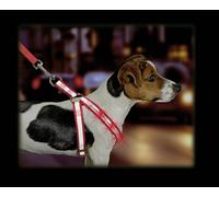 KARLIE Dog Harness FLASHING BLINKING LED SAFETY med COMFORT STRONG SAFE stylish
