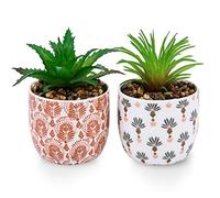 Karlliu 2 Pack Artificial Plants Small Cute Succulents in Ceramic Planters Fake Greenery Potted for Living Room Office Desk Decor Bathroom Bedroom Shelves Decor