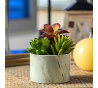 Karlliu Artificial Plants Cute Colourful Succulents in Ceramic Planter Fake Plant Flowers Potted for Home Living Room Office Desk Decor Bathroom Bedroom Indoor Decoration