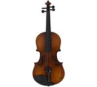 Karriter 4/4 Full Size Acoustic Violin Fiddle Wood With Case Bow Rosin Violin