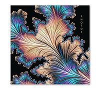 Karrma Ltd. | Photo Album with 200 pockets Suitable for photos size 6'' x 4'' (15cm 10cm) Memo Section a Stiff Backed Padded Cover Inside Contains Slip in - Black Gold Flourish (7593)