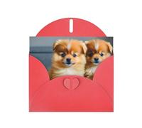 Kashinn Pearlized Greeting Card with Envelope Blank Notecard for Thank You Invitations Sympathy Pomeranians Puppies Print