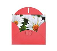 Kashinn Pearlized Greeting Card with Envelope Blank Notecard for Thank You Invitations Sympathy White Daisy Flowers Print