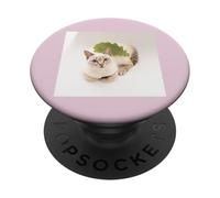 Kashiwamochi, Siamese Mix Cat Sorara_001 PopSockets Adhesive PopGrip