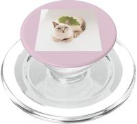Kashiwamochi, Siamese Mix Cat Sorara_001 PopSockets PopGrip for MagSafe