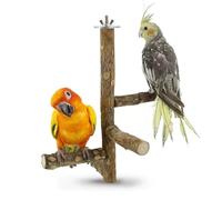 KASHUNUO Bird Cage Perches Accessories: Parrot Natural Wooden Perch Set with 4 Standing Sticks - Daily Climbing Rest & Beak & Nail Grinding for Parakeets Luonfels - Caring for The Health of Parrots