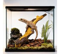 KASHUNUO Reptile Climbing Tree Branch: Resin Wood Decor for Terrarium Habitat - Safe Non-Toxic Easy to Clean - for Bearded Dragon Gecko Tree Frog Enrichment Accessories