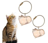 Kasituoer 2 PCS Cat Hair Collector Keychain Charm - Memorial Storage Box for Pet Hair | Keepsake Locket for Cat & Dog Owners | Portable Pet Memorial Gift, Waterproof Fur Holder (Style A)