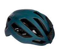 Kask Protone Icon WG11 Helmet Forest Green