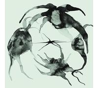 Kassel Jaeger - A Rift In the Horizon's Wall [Vinyl LP] [VINYL]