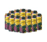 Kasteel Tropical Belgian Fruit Beer - 12 x 500ml Cans | 7% ABV | Strong Belgian Tropical Fruit Ale