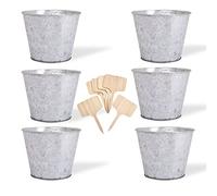 Katai - Galvanised Metal Planter Buckets 6 Pack - Small Rustic Plant Pots for Indoor Herbs, Orchids & Flowers, Hanging Holder, Includes Labels