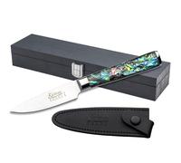 Katana Saya Pearl 9cm Paring Knife, Japanese 67-Layer VG-10 Damascus Stainless Steel, Kitchen Knife, Acrylic Handle with Abalone Pattern, Japanese Style