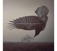Katatonia - Fall Of Hearts - Vinyl Record - M4z