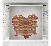Kate 10x10ft Brick Wall Photography Backdrop Texture Abstract backdrops Retro Brown Backdrop Backdrop Texture Microfiber Backdrop Vintage Portrait Photography Background