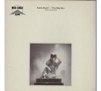 Kate Bush - Big Sky (Meteorological Mix) / Not This Time / The Morning Fog [12" Vinyl]