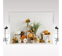 Kate Halloween Decoration Backdrop 2.2 * 1.5m/7 * 5ft Modern Minimalist Style Shop Window Photo Booth Bar Club Night Party Backdrop Cafe Singing Performance Background