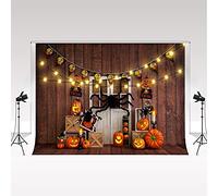 Kate Halloween Photography Backdrop 10x10ft/3x3m Horrible Pumpkin Spider Photo Studio Background for Costume Dress-up Party Photo Studio Props