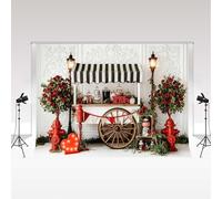 Kate Valentine's Day Photography Backdrop 3x3m/10x10ft Candy Cart Roses Floral Green Plants Heart Girl Birthday Party Decoration Banner Family Portrait Photo Background