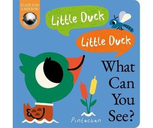 Kate Ware Little Duck Little Duck What Can You See? Board book Book Kate Ware Multicolor