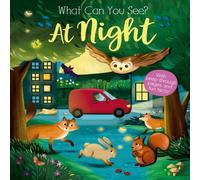Kate Ware What Can You See At Night? Board book Book Kate Ware Multicolor