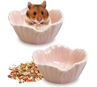 kathson 2 Pcs Hamster Food Bowl, Ceramic Pet Hamster Bowl Dwarf Feeder Guinea Pig Water Rat Bowl Small Animal Food Dish for Golden Bears, Hedgehogs, Dutch Pigs, Parrots(Pink)