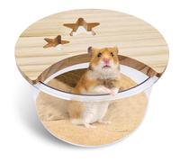 kathson Hamster Sand Bath Box Transparent Acrylic Small Animals Shower Bathtub Guinea Pigs Digging Sand Container Cage Accessories for Gerbil Mice Hedgehog Chinchilla (Circle)