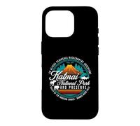 Katmai National Park Preserve Alaska Bear Watching Salmon Case for iPhone 16 Pro