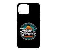 Katmai National Park Preserve Alaska Bear Watching Salmon Case for iPhone 16 Pro Max
